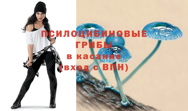 первитин Абинск
