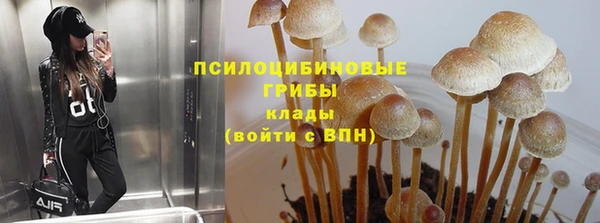 ПСИЛОЦИБИНОВЫЕ ГРИБЫ Абдулино