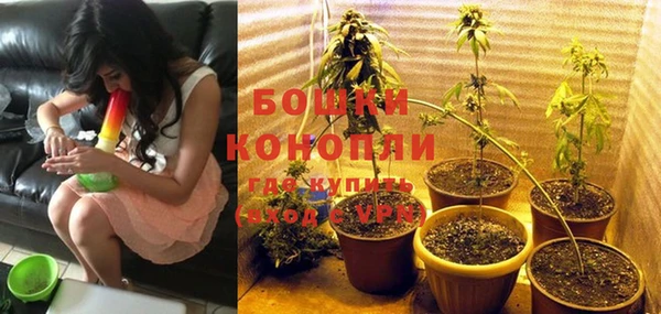 ПСИЛОЦИБИНОВЫЕ ГРИБЫ Абдулино