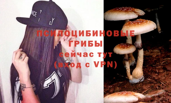 ПСИЛОЦИБИНОВЫЕ ГРИБЫ Абдулино